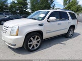 Cadillac Escalade Luxury 1GYS4BEF9DR144986 fotografie