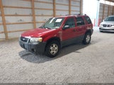 Ford Escape Xlt/Xlt Sport 1FMYU03136KB87982 photo