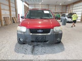 Ford Escape Xlt/Xlt Sport 1FMYU03136KB87982 photo