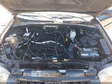 Ford Escape Xlt 1FMYU03Z25KC79685 снимка