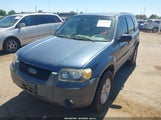 Ford Escape Xlt 1FMYU03Z25KC79685 снимка