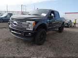 Ford F-250 Platinum 1FT7W2BT7KEG32497 photo