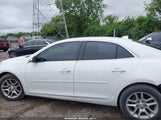 Chevrolet Malibu 1Lt 1G11C5SL6EF258066 photo