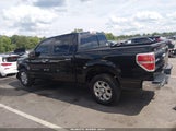 Ford F-150 Xlt 1FTFW1CF9DFD90422 fotografie