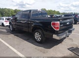Ford F-150 Xlt 1FTFW1CF9DFD90422 fotografie