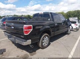 Ford F-150 Xlt 1FTFW1CF9DFD90422 fotografie