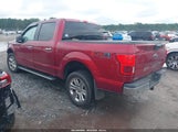 Ford F-150 King Ranch/Lariat/Limited/Platinum/Xl/Xlt 1FTEW1EGXJKF49159 photo