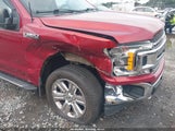 Ford F-150 King Ranch/Lariat/Limited/Platinum/Xl/Xlt 1FTEW1EGXJKF49159 photo
