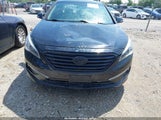 Hyundai Sonata Sport 5NPE34AF7HH499062 fotografie