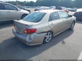 Toyota Corolla Le 2T1BU4EE2AC530132 снимка