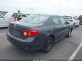 Toyota Corolla Le 2T1BU40E49C042948 fotografie