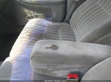 Chevrolet Lumina 2G1WL52M0X9118024 photo