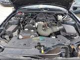 Ford Mustang V6 Deluxe/V6 Premium 1ZVFT80N755144129 fotografie