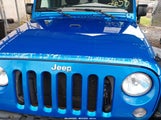 Jeep Wrangler Unlimited Sport 1C4BJWDG4GL253072 снимка