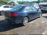 Acura Tsx JH4CL96896C013437 fotografie