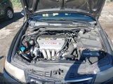 Acura Tsx JH4CL96896C013437 fotografie