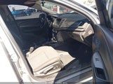 Chevrolet Caprice Police 6G3NS5U2XEL973212 fotografie