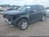 Toyota Rav4 Xle JTMW1RFV3KD017174 снимка