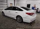 Hyundai Sonata Sport 5NPE34AF5FH043705 fotografie