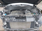 Hyundai Palisade Xrt KM8R3DGE2PU533537 fotografie