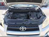 Toyota Rav4 JTMBF33V895008167 fotografie
