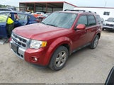 Ford Escape Limited 1FMCU0E74CKB11033 fotografie
