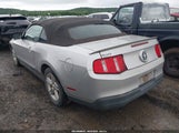 Ford Mustang V6/V6 Premium 1ZVBP8EN8A5174097 fotografie