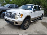 Ford F-150 Fx4/Harley-Davidson/King Ranch/Lariat/Platinum/Xl/Xlt 1FTFW1EV8AKA73769 снимка