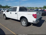 Ford F-150 Fx4/King Ranch/Lariat/Platinum/Xl/Xlt 1FTFW1EF1CFA29780 снимка