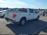 Ford F-150 Fx4/King Ranch/Lariat/Platinum/Xl/Xlt 1FTFW1EF1CFA29780 снимка