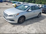 Hyundai Sonata Se 5NPE24AF3GH365571 снимка