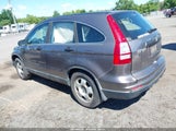 Honda Cr-V Lx 5J6RE3H31AL043314 photo