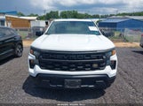 Chevrolet Silverado  2Wd Long Bed Wt 3GCNAAEK6NG542127 photo