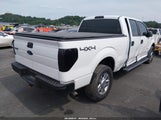 Ford F-150 Fx4/King Ranch/Lariat/Platinum/Xl/Xlt 1FTFW1ET9CFC72064 fotografie