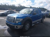 Ford F-150 Fx2 Sport/Harley-Davidson/King Ranch/Lariat/Platinum/Xl/Xlt 1FTFW1CV5AKA17582 fotografie