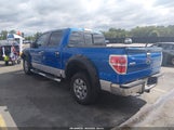 Ford F-150 Fx2 Sport/Harley-Davidson/King Ranch/Lariat/Platinum/Xl/Xlt 1FTFW1CV5AKA17582 fotografie