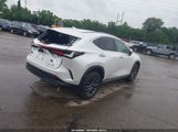 Lexus Nx 350H 2T2AKCEZ9NC007724 fotografie