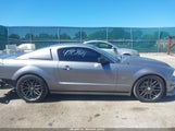 Ford Mustang Gt 1ZVFT82H865165533 fotografie
