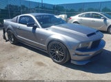 Ford Mustang Gt 1ZVFT82H865165533 fotografie