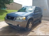 Ford Escape Xlt 1FMYU03125KA39482 снимка