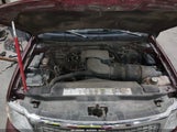 Ford Expedition Xlt 1FMPU16L31LB31607 fotografie