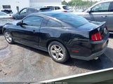 Ford Mustang V6/V6 Premium 1ZVBP8AM9B5142550 photo