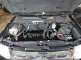 Ford Escape Limited 1FMCU0E78CKC84828 fotografie