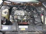 Chevrolet Lumina Police 2G1WL52M5V9331824 снимка