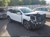GMC Terrain Awd Slt 3GKALVEV3LL171012 fotografie