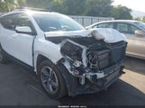 GMC Terrain Awd Slt 3GKALVEV3LL171012 fotografie