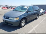 Honda Odyssey Ex-L 5FNRL18923B059872 fotografie