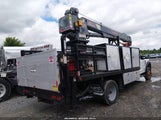 Ford F-550 Chassis Xl/Xlt 1FDUF5HT6LDA08978 снимка