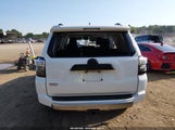 Toyota 4Runner Trd Off Road JTEBU5JR3K5643225 снимка