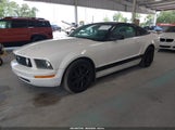 Ford Mustang V6 1ZVFT80N165191674 fotografie